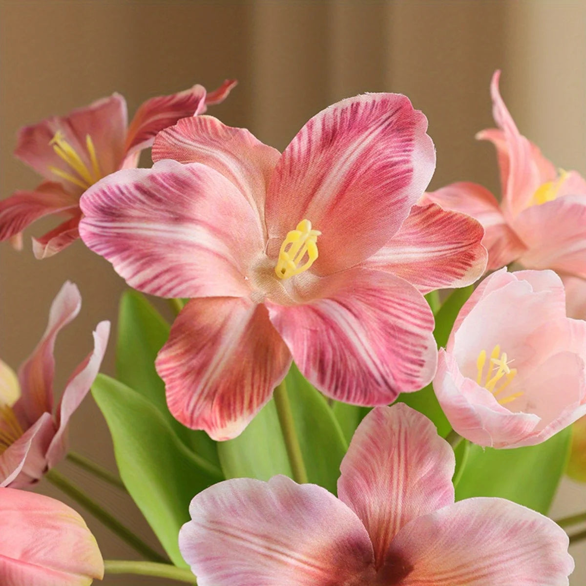Silk Tulip