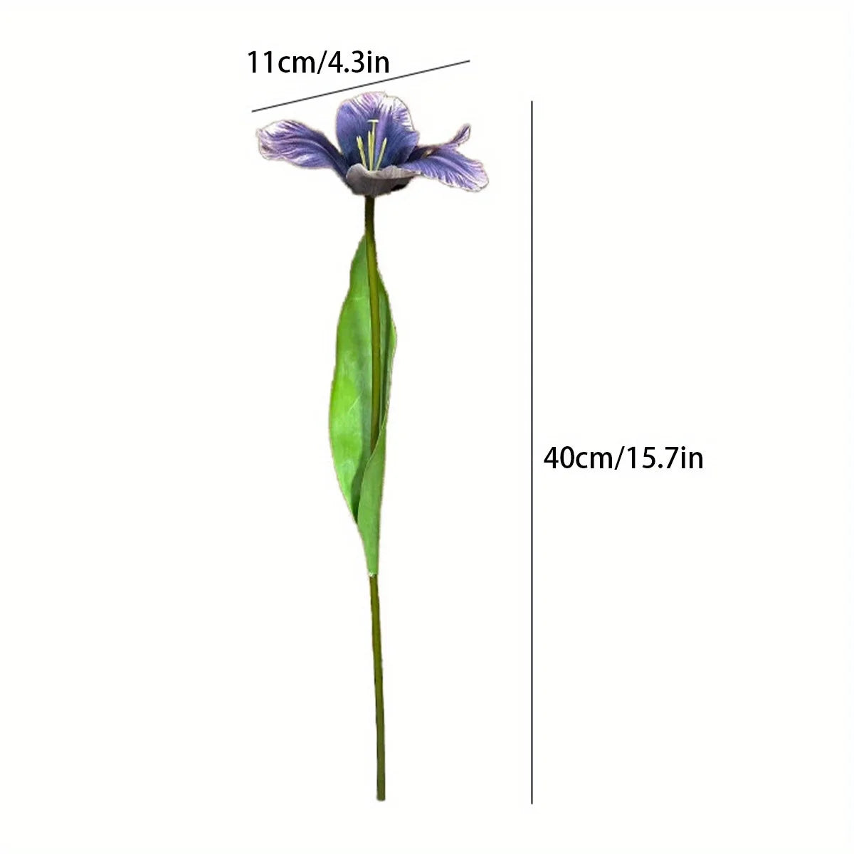 Silk Tulip